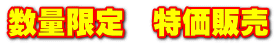 数量限定 特価販売